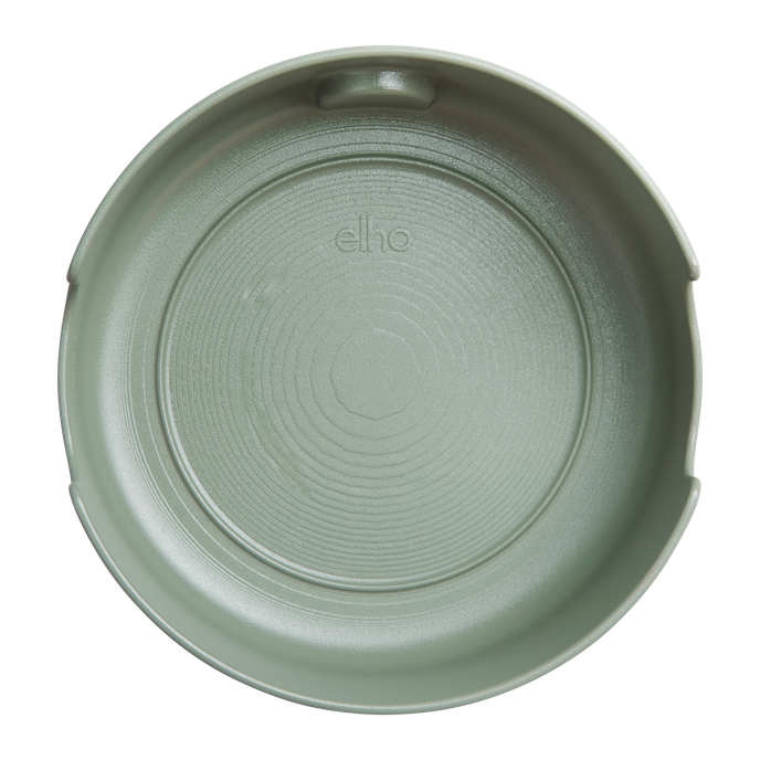 magic microgreens laubgrün